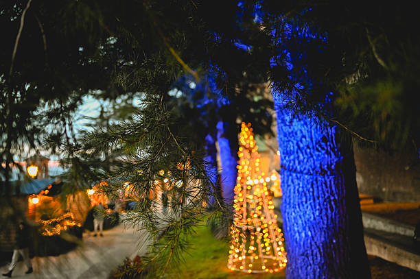 Landscape lighting in Weldon Spring, MO.