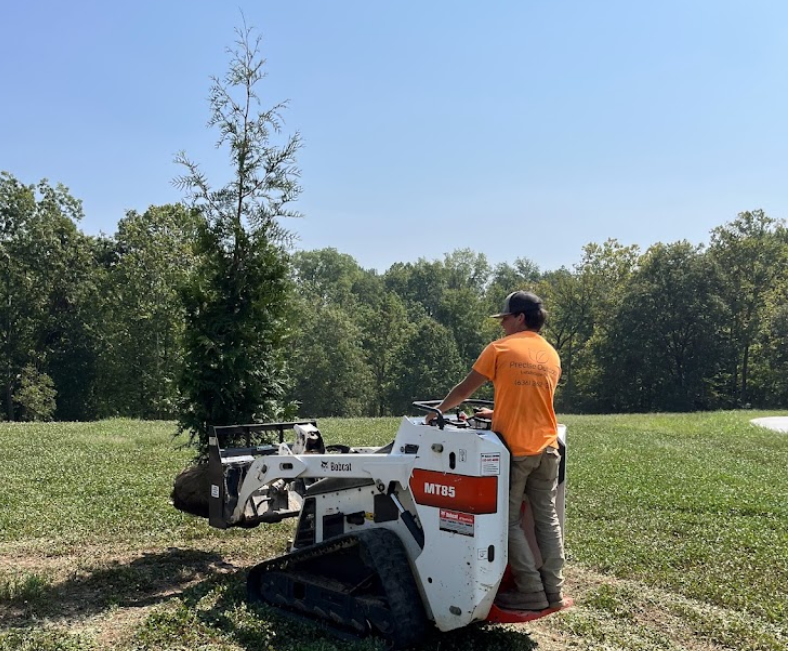 Tree being installed by a team member in St. Charles County.