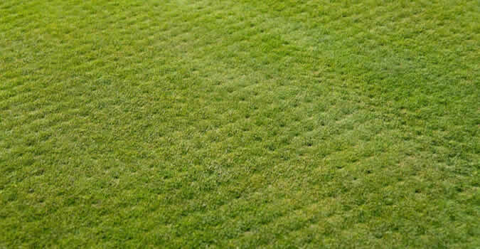 Lawn aeration by Precise Outdoors in Chesterfield