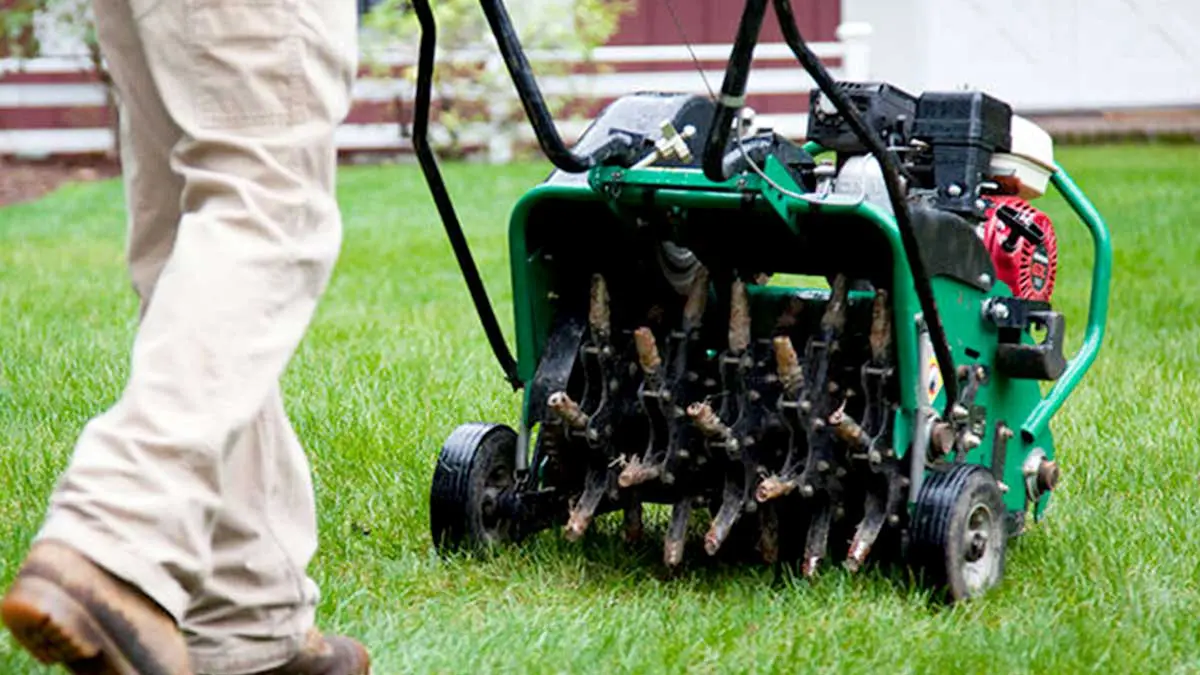 Lawn aeration by Precise Outdoors and Design.